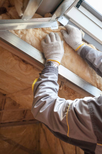 Insulation for Commercial Buildings in Lightstreet, PA