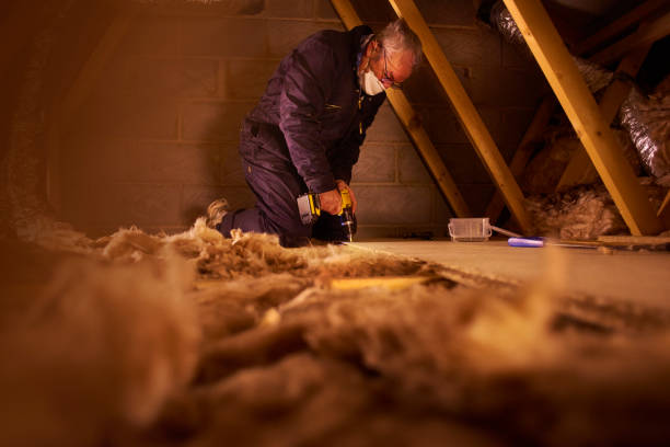 Best Local Insulation Services  in Lightstreet, PA