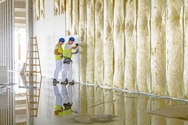 Best Best Insulation Companies  in Lightstreet, PA